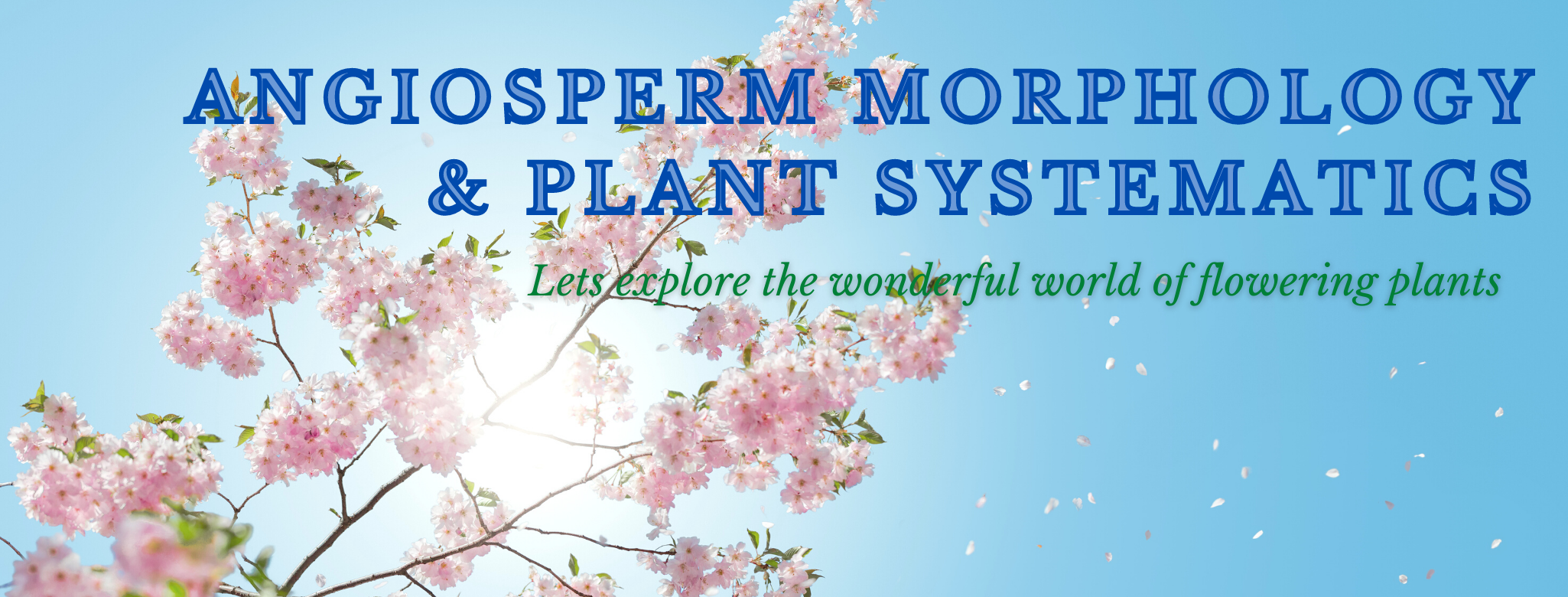 ANGIOSPERM MORPHOLOGY & PLANT SYSTEMATICS